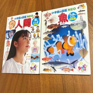 小学生の図鑑NEO 人間　魚(絵本/児童書)