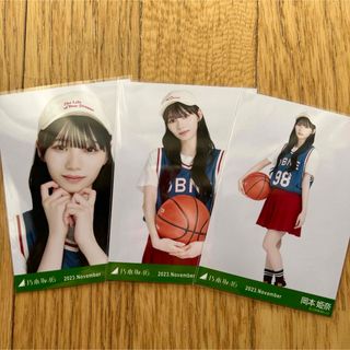 ノギザカフォーティーシックス(乃木坂46)の岡本姫奈 会場限定 生写真 コンプ(女性アイドル)