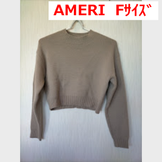 アメリヴィンテージ(Ameri VINTAGE)の未使用品　AMERI　ニットセーター　Fサイズ　ベージュ　厚手(ニット/セーター)