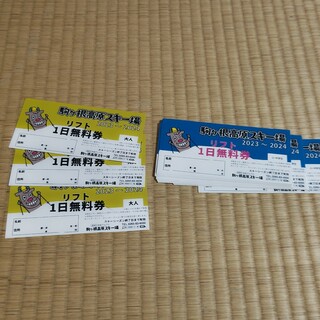 駒ヶ根高原スキー場　リフト券(ウィンタースポーツ)