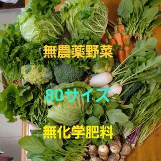 無農薬野菜　80サイズ(野菜)