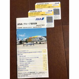 エーエヌエー(ゼンニッポンクウユ)(ANA(全日本空輸))のANA株主優待券(その他)