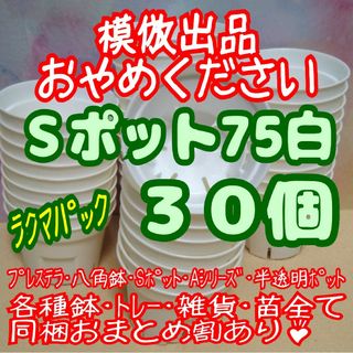 Sポット75白30個 スリット鉢プラ鉢2.5号鉢相当多肉プレステラ-ラクマパック(プランター)