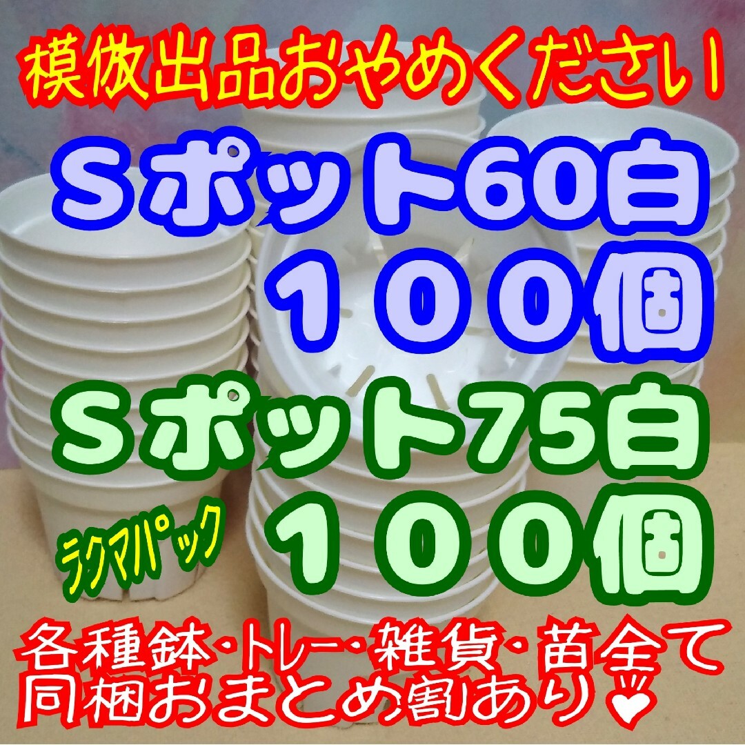 《Ｓポット60＆75》白各100個-ラクマパック-プレステラ丸スリット鉢多肉植物 ハンドメイドのフラワー/ガーデン(プランター)の商品写真