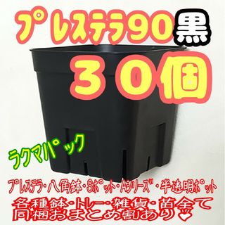 【スリット鉢】プレステラ90黒30個 多肉植物 プラ鉢-ラクマパック-(プランター)