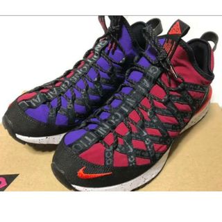 ナイキ(NIKE)の★着用少ない美品★NIKE ACGリアクトテラゴービー２８.５cmUS:１０.５(スニーカー)