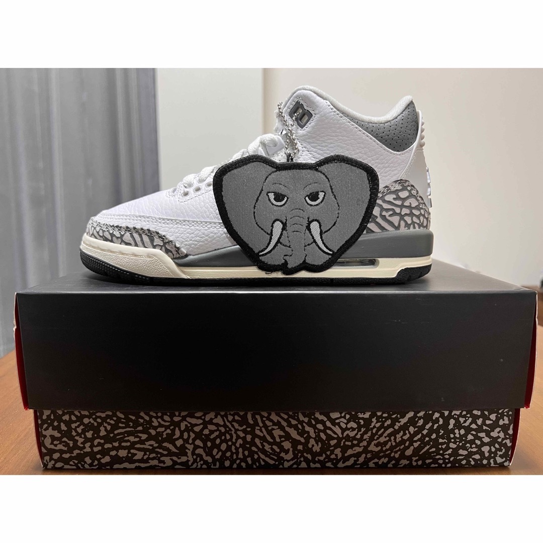 Nike GS Air Jordan 3 Animal Icon 23cm靴/シューズ