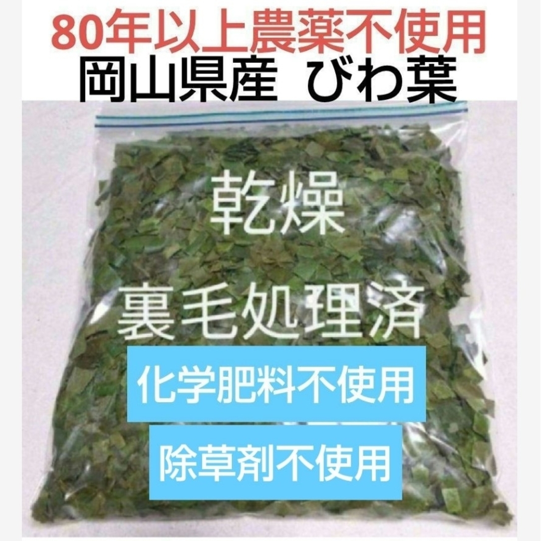 びわの葉 乾燥[細断] 200g 農薬不使用 岡山県産 ビワの葉 びわ | フリマアプリ ラクマ