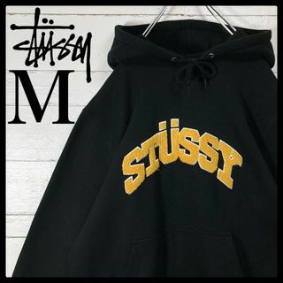 ステューシー パーカー(メンズ)(ブラウン/茶色系)の通販 85点