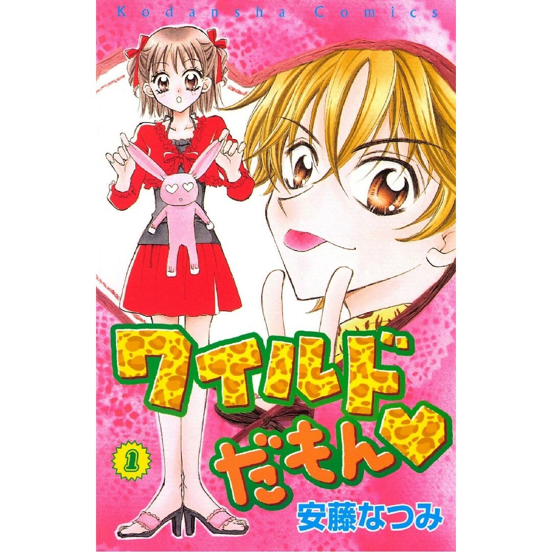 講談社(コウダンシャ)の2004年 なかよし 付録 ワイルドだもん クリアファイル エンタメ/ホビーの漫画(少女漫画)の商品写真