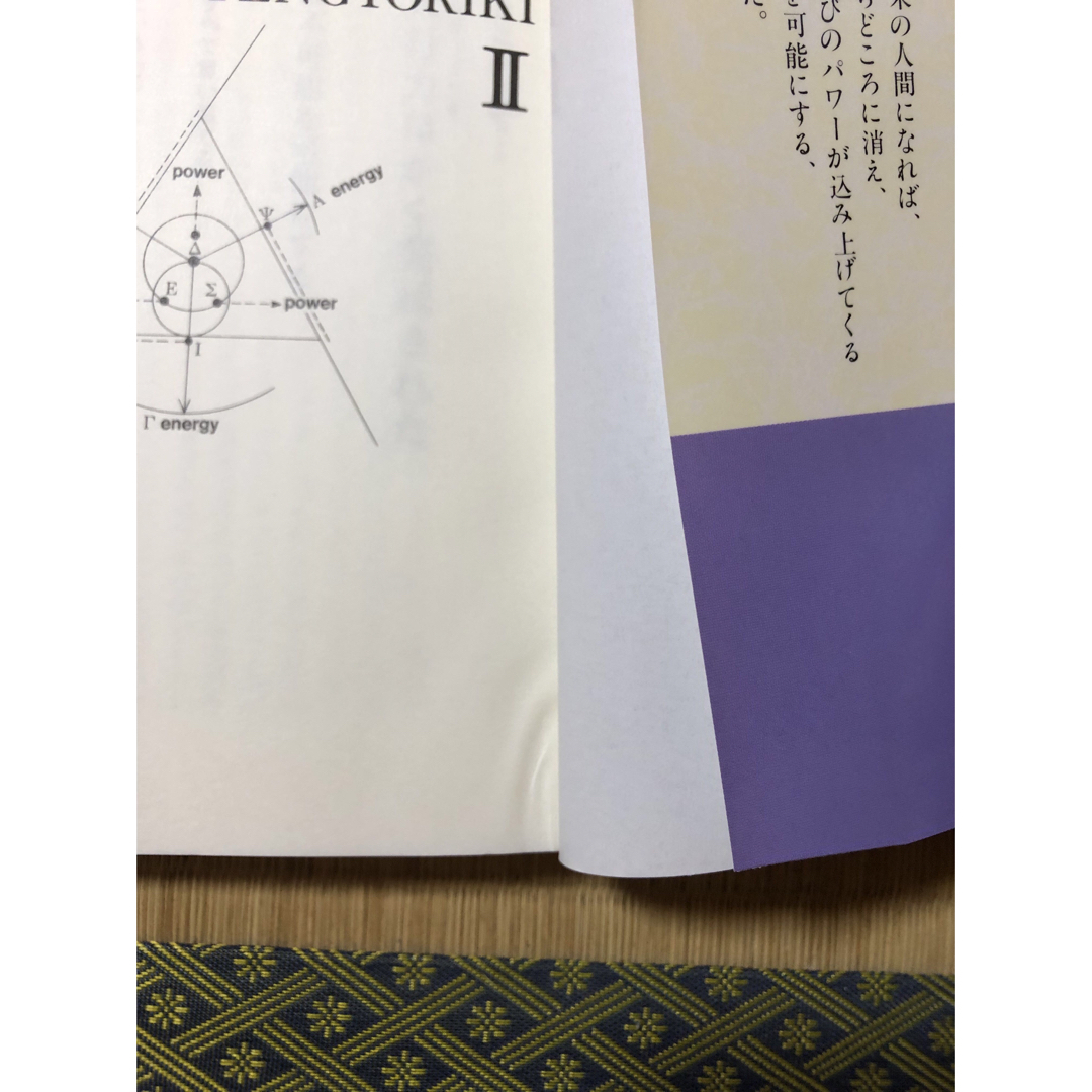 病苦を超える最後の天行力 エンタメ/ホビーの本(健康/医学)の商品写真