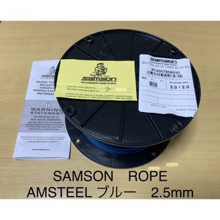 SAMSON AMSTEEL 青 2.5mm×10m(その他)