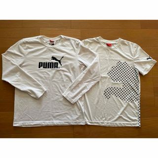 プーマ(PUMA)のプーマ　PUMA   長袖　半袖　Ｔシャツ　白色　２枚セット(Tシャツ/カットソー(七分/長袖))