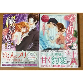 君と出逢って　　秘密の契約(文学/小説)