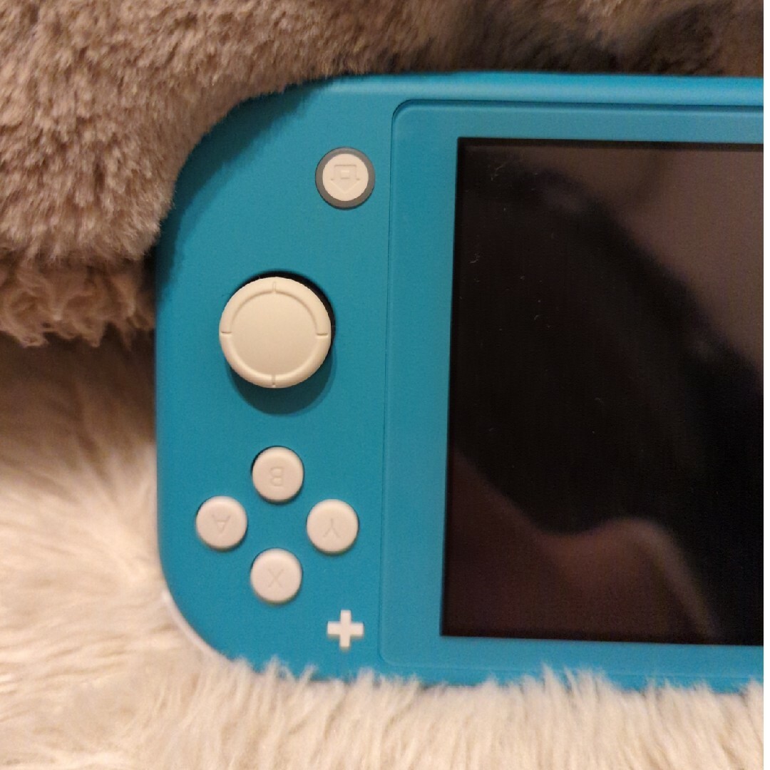 Nintendo Switch(ニンテンドースイッチ)のNintendo Switchライト エンタメ/ホビーのゲームソフト/ゲーム機本体(家庭用ゲーム機本体)の商品写真