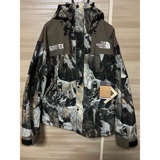 ザノースフェイス(THE NORTH FACE)のノースフェイス　ゴアテックス マウンテンジャケット　迷彩柄　L(マウンテンパーカー)