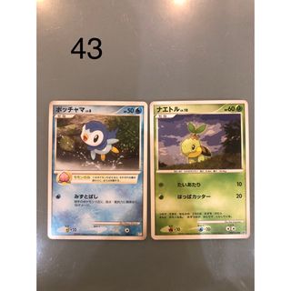 ポケモン(ポケモン)の43 ポッチャマlv8  ナエトルlv10  ポケモンカード(シングルカード)