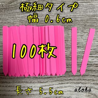 イエロー　100枚 多肉植物 アガベ サボテンに◎ 園芸用 ラベル ネームラベル(その他)