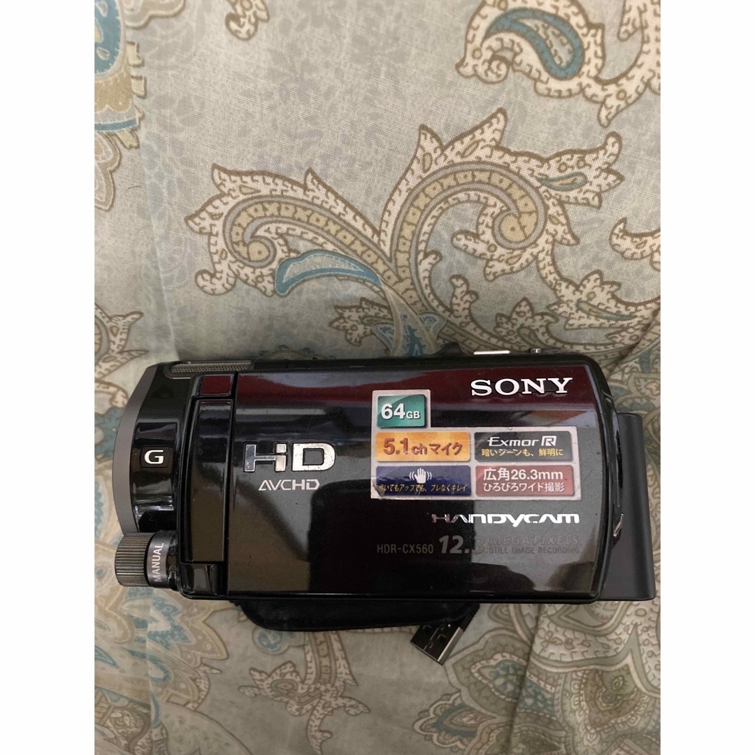 SonyソニーHDR-CX560V