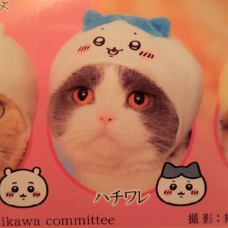 かわいいかわいいねこのかぶりもの ハチワレ(キャラクターグッズ)