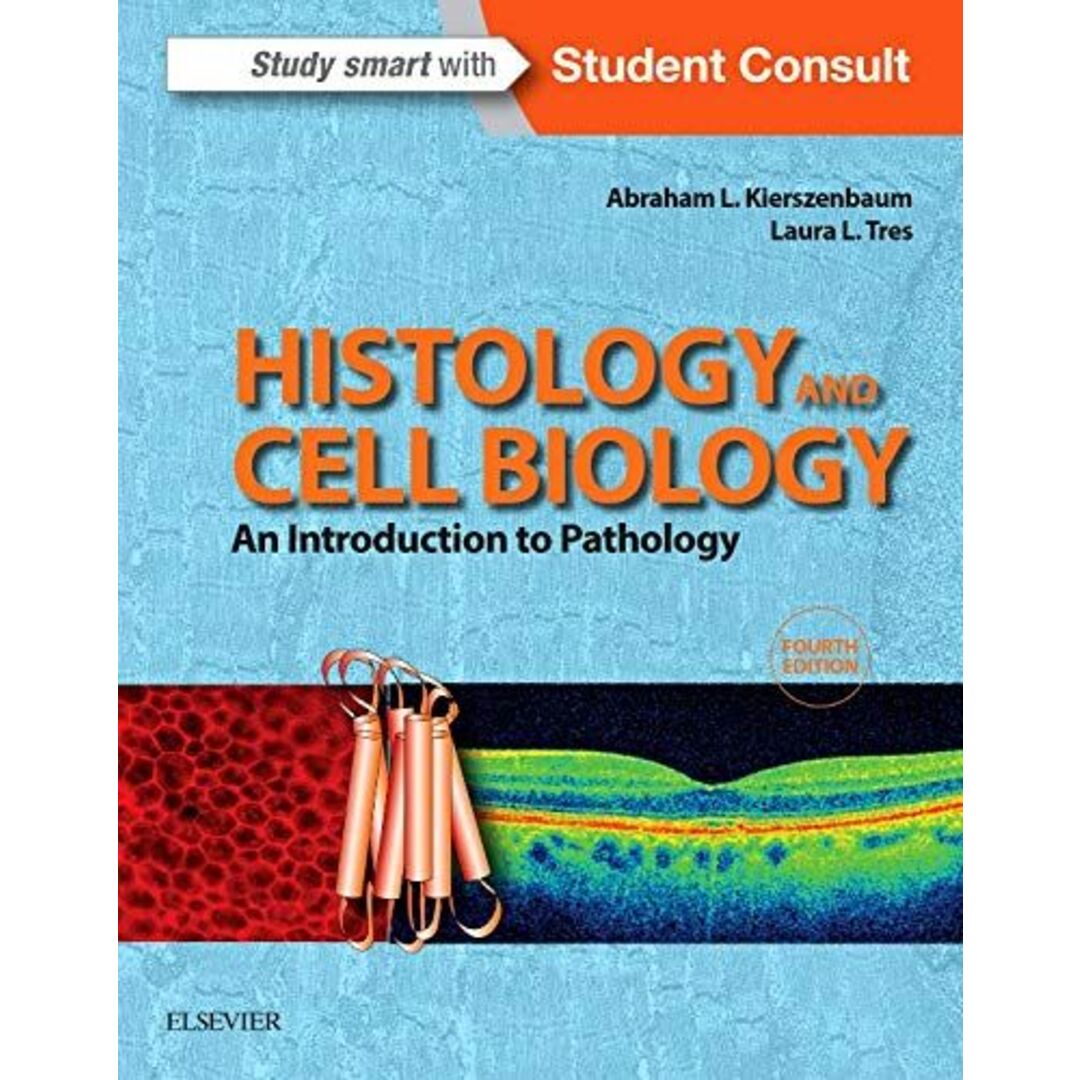 Histology and Cell Biology: An Introduction to Pathology,4e Kierszenbaum M.D. Ph.D.,Abraham L; Tres M.D. Ph.D.,Laura エンタメ/ホビーの本(語学/参考書)の商品写真