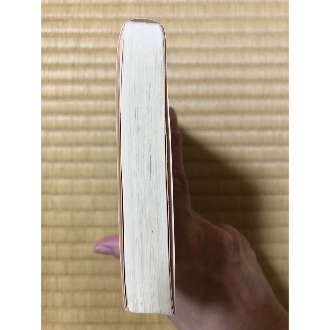 白の迷走 エンタメ/ホビーの本(文学/小説)の商品写真