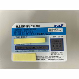 エーエヌエー(ゼンニッポンクウユ)(ANA(全日本空輸))のANA株主優待券（2024年5月31日まで　１枚）(その他)