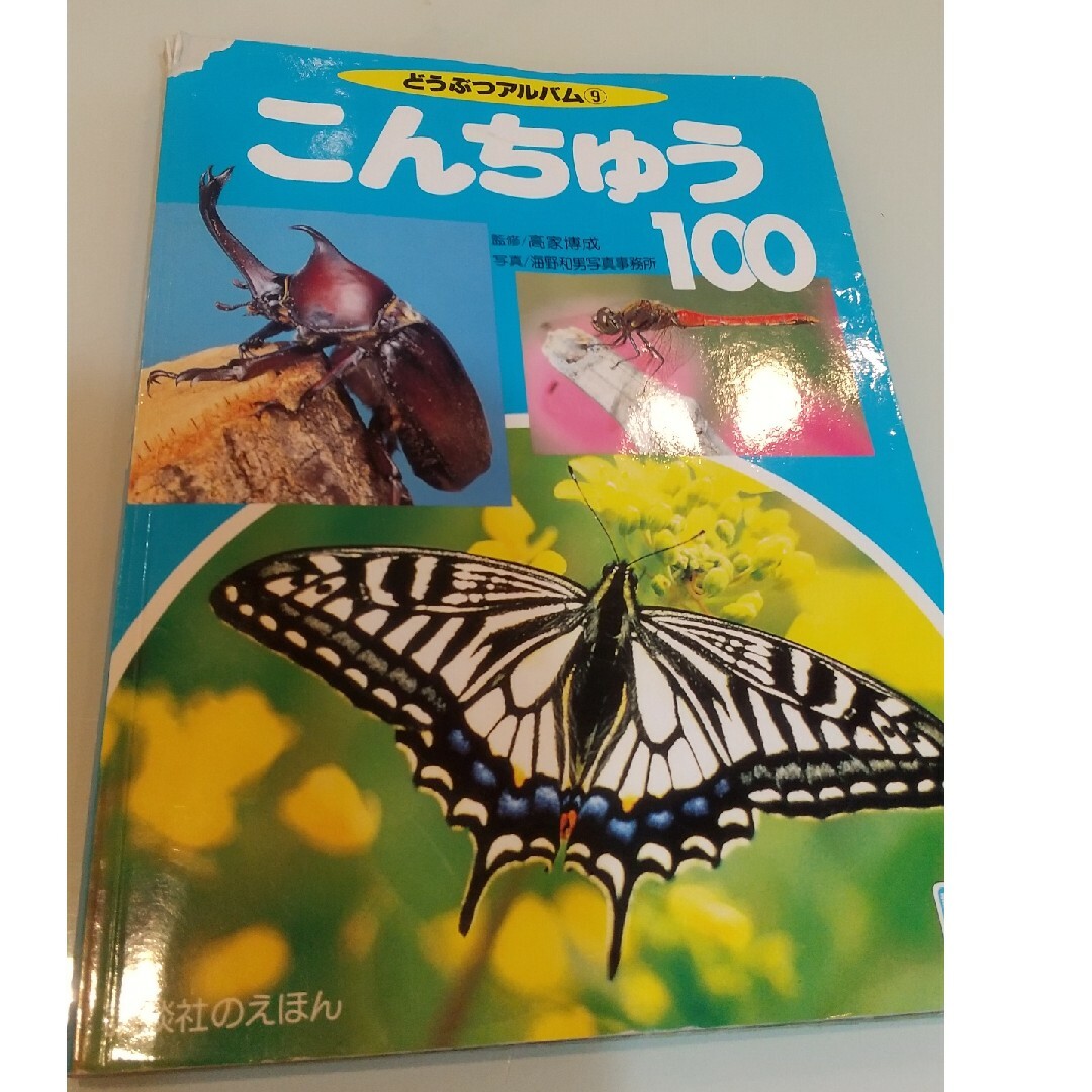 こんちゅう１００ エンタメ/ホビーの本(絵本/児童書)の商品写真