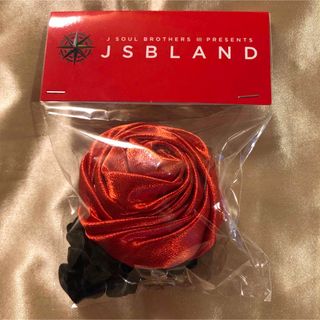 サンダイメジェイソウルブラザーズ(三代目 J Soul Brothers)の三代目JSB JSB LAND 会場限定 ローズシュシュ RED 今市隆二(ミュージシャン)