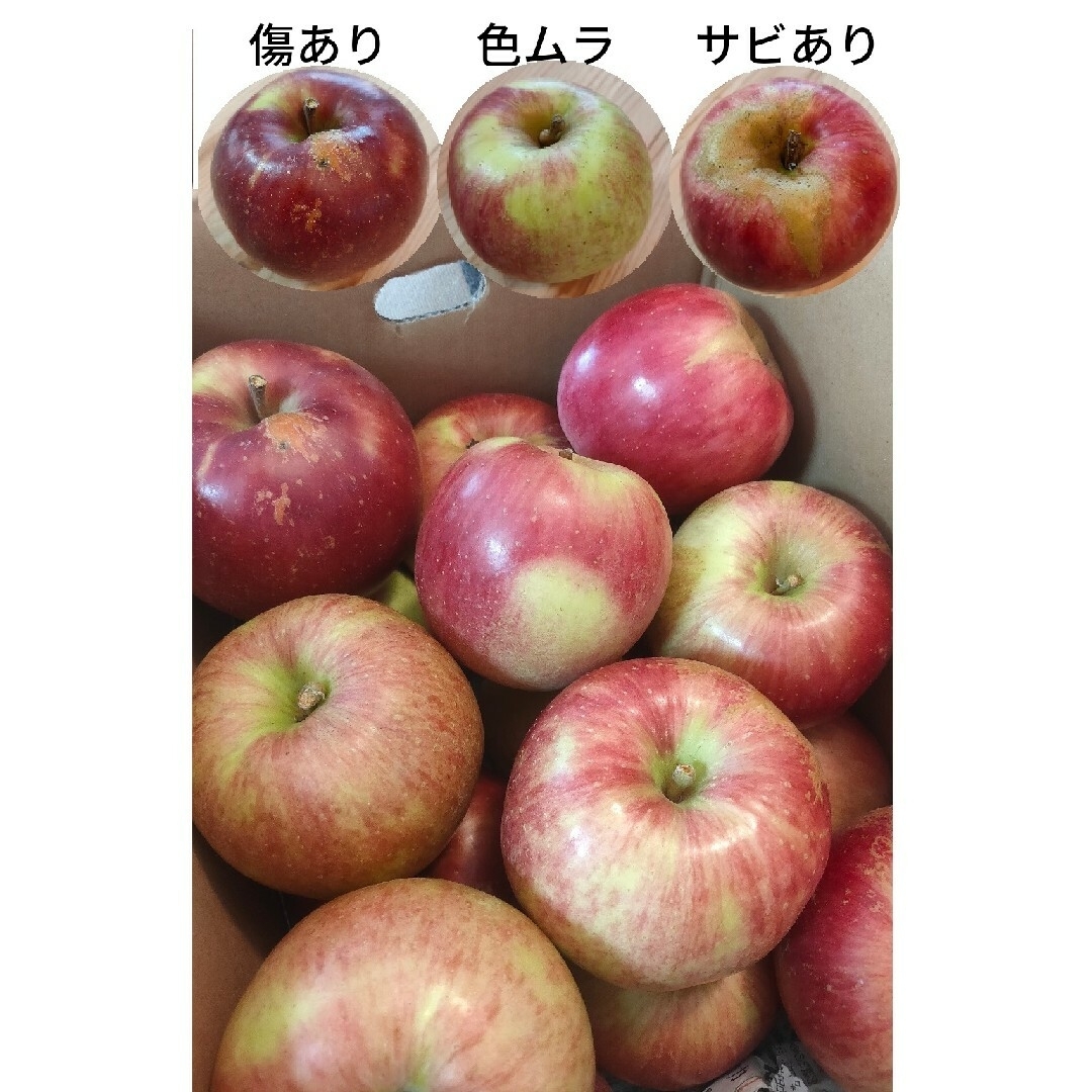 【山形県朝日町産】蜜入りりんご　サンふじ5キロ（大小混合・訳あり品）16-20玉 食品/飲料/酒の食品(フルーツ)の商品写真