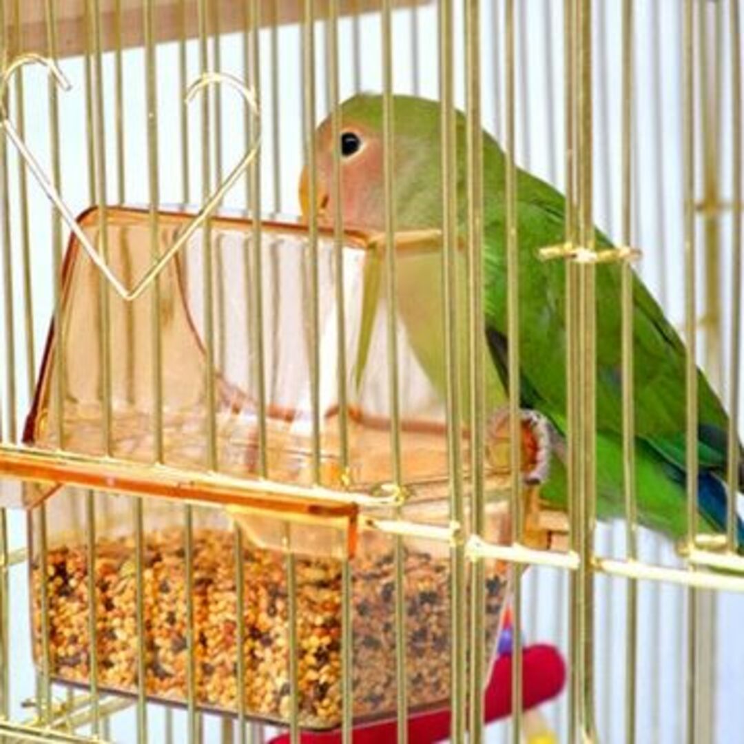 角屋根★大型バードゲージ（鳥小屋　鳥カゴ　鳥かご）金□ その他のペット用品(鳥)の商品写真