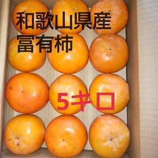 和歌山県産冨有柿5キロ(フルーツ)