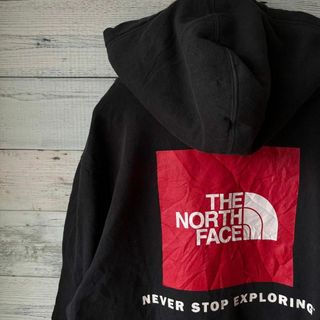 ザノースフェイス(THE NORTH FACE)のTHE NORTH FACE メンズ　パーカー　バックプリント　M b4e(パーカー)