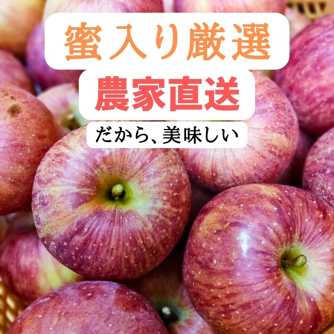 【山形県朝日町産】蜜入りりんご　サンふじ5キロ（大小混合・訳あり品）16-20玉 食品/飲料/酒の食品(フルーツ)の商品写真