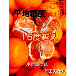 糖度15度越え　プレミアムみかんキング　旬味有田みかん　宮川早生 　2Kg(フルーツ)