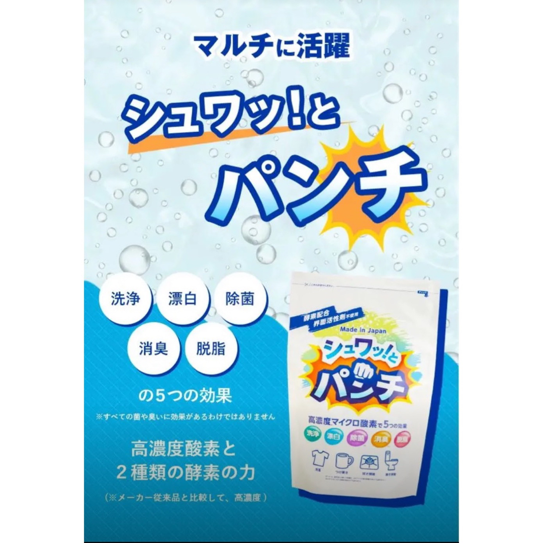 ＊シュワっとパンチ　お試し300g  　取扱説明書コピー　e インテリア/住まい/日用品の日用品/生活雑貨/旅行(洗剤/柔軟剤)の商品写真