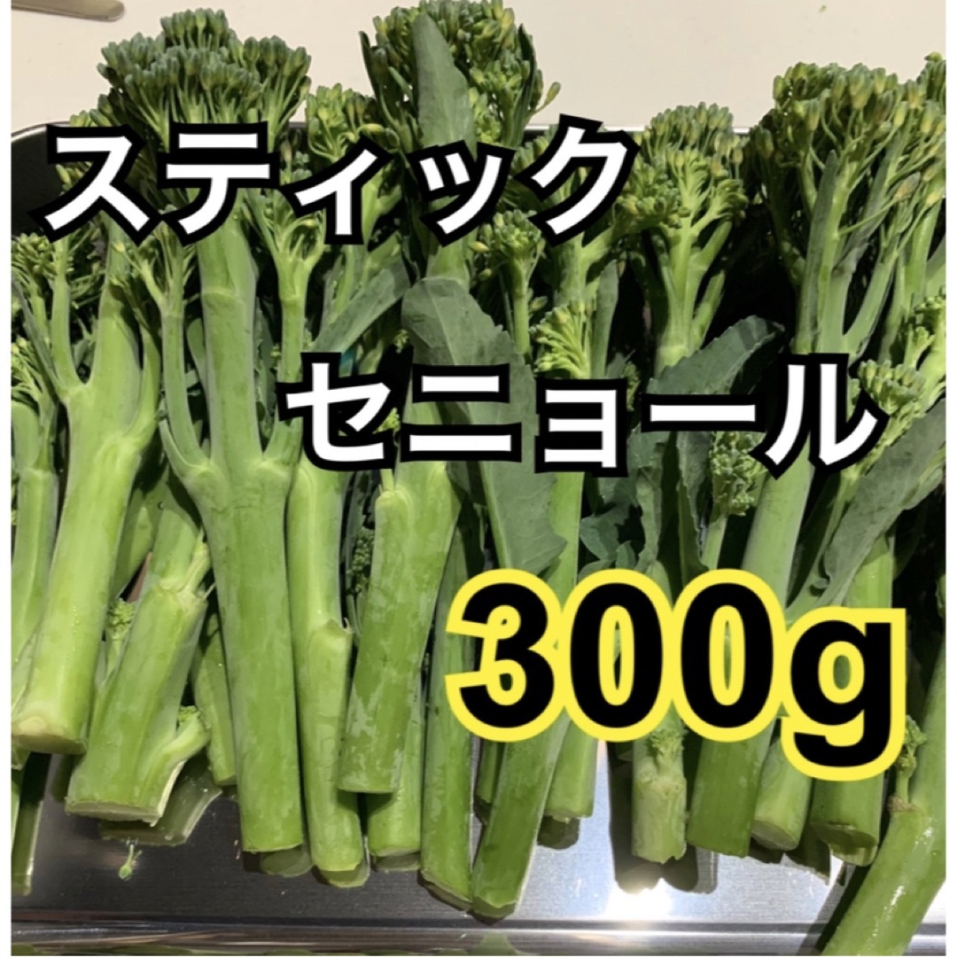 スティックセニョール　300g 食品/飲料/酒の食品(野菜)の商品写真