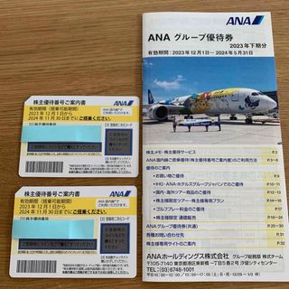 エーエヌエー(ゼンニッポンクウユ)(ANA(全日本空輸))のANA株主優待券(航空券)