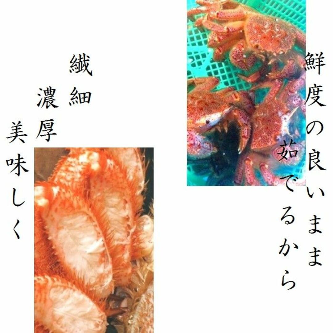 【特大】毛蟹　5尾（800ｇサイズ）　北海道産　ボイル　付け足　冷凍　お中元 食品/飲料/酒の食品(魚介)の商品写真