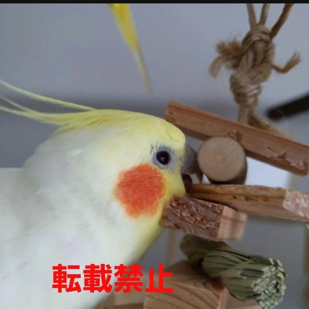 220　インコ　カジカジ ガジガジおもちゃセット　バードトイ　バルサ入り その他のペット用品(鳥)の商品写真