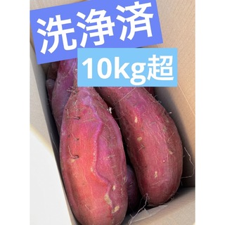 千葉県産　シルクスイート　10kg(野菜)