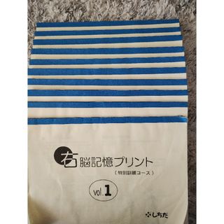 シチダシキ(七田式)のしちだ　右脳記憶プリント(特別訓練コース)(語学/参考書)