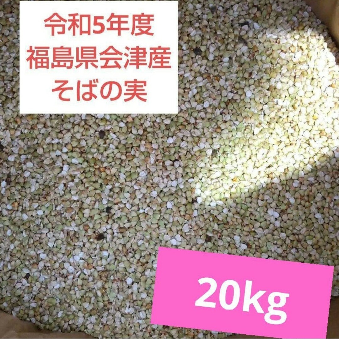 令和5年度　福島県会津産　そばの実　20kg米/穀物