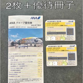 ANA株主優待券2枚＋優待冊子1冊(航空券)