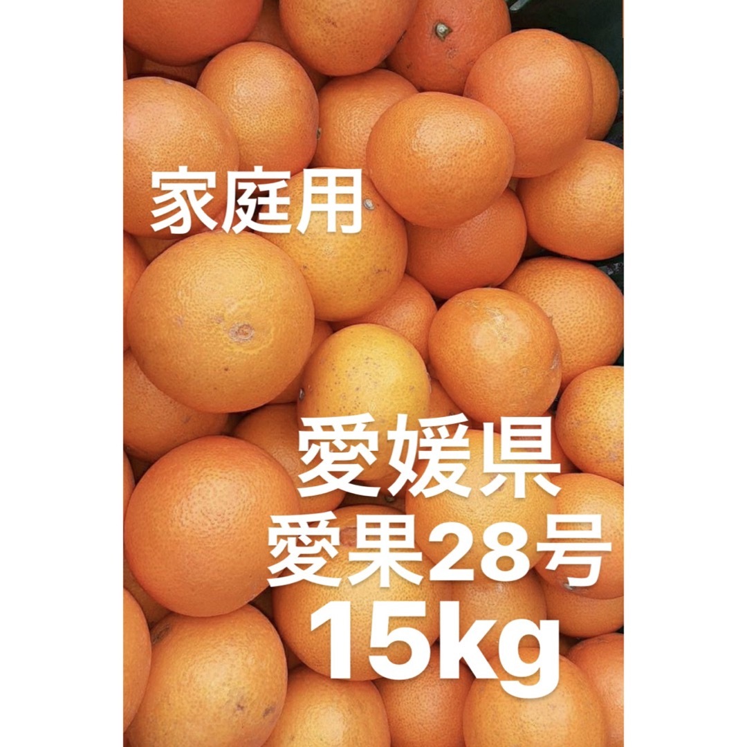 愛媛県産 家庭用 愛果28号 柑橘 15kgの通販 by sari's shop｜ラクマ