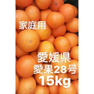 愛媛県産　家庭用　愛果28号　柑橘　15kg(フルーツ)