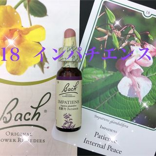 18.バッチフラワーレメディ インパチエンス フラワーエッセンス 正規品 忍耐力(その他)