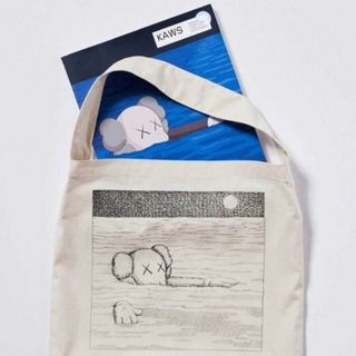 ユニクロ(UNIQLO)のUNIQLO ユニクロ kaws  カウズ 本 アートブック トートバック付き(アート/エンタメ)