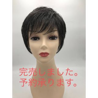 アートネイチャー新品#グレー30%フルウィックショートカット