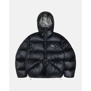 [L]stussy本日削除ダウンジャケット13aw